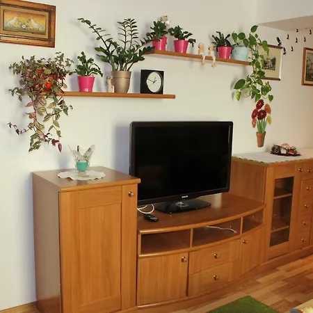 公寓 Apartma Ferida 博维茨